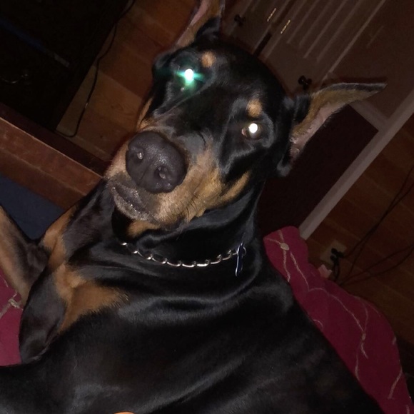 Meet your Buyer/seller/trader 🤗🤗 - Picture 6 of 10